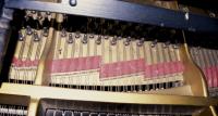 Piano felt damaged by clothes moths larvae