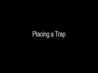 Placing traps